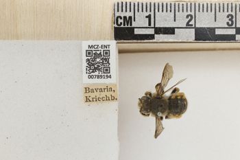 Media type: image;   Entomology 789194 Aspect: Labels